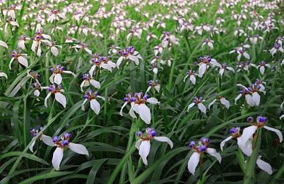 时空交错《星际战甲1999》试玩版现已上线